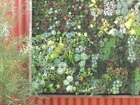 Flora Grubb Vertical Garden.jpg